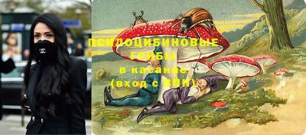 метадон Заволжск