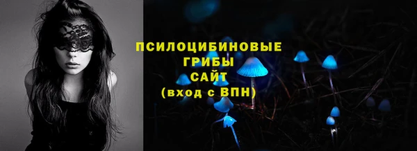 a pvp Заводоуковск