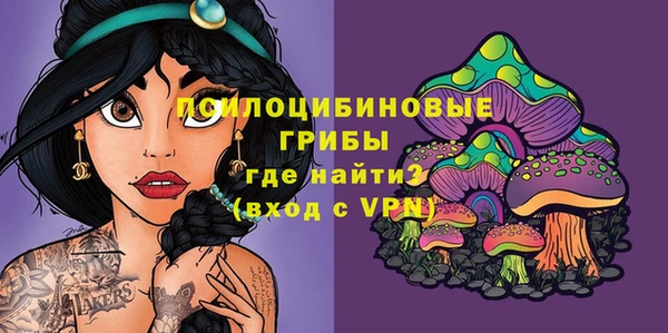 a pvp Заводоуковск