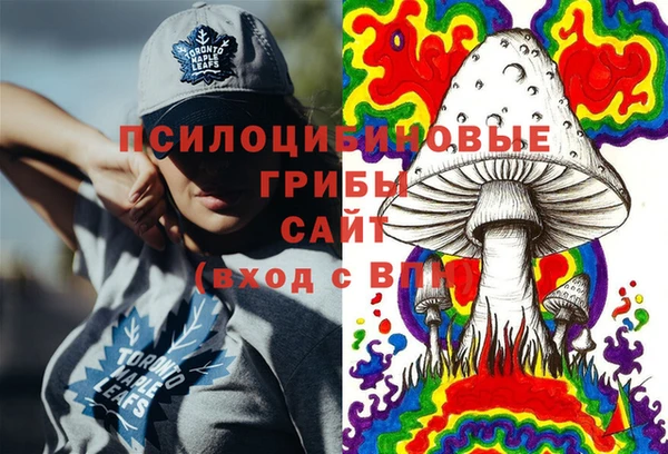 a pvp Заводоуковск