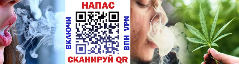 Купить где  Кедровый  Каннабис план 